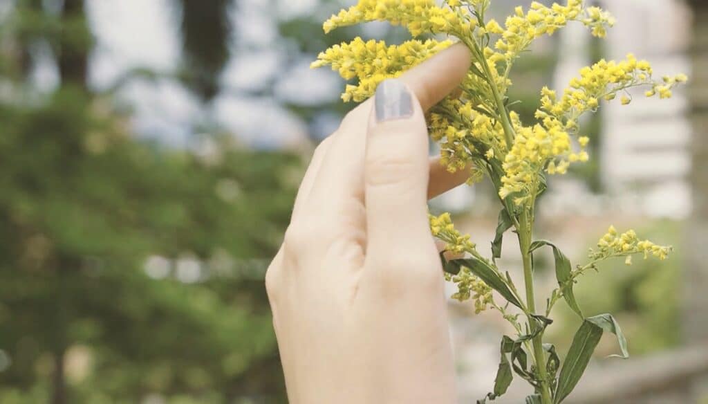 Camila Bello — UX UI designer y comunicación organizacional en Medellín, Colombia